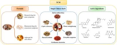 Research progress on effects of traditional Chinese medicine on myocardial ischemia–reperfusion injury: A review